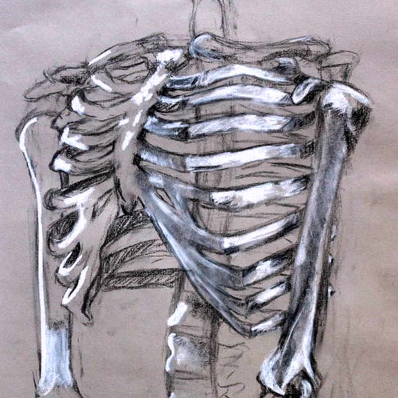Adult Intro to Studio Art - Image 5