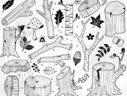 Drawing Nature: Into the Wild Woods