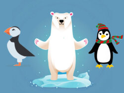 Puffins, Penguins, & Polar Bears