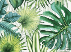 Drawing From Nature - Online Camp